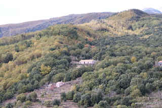 Casa della Capinera